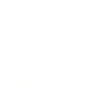 12 awards
